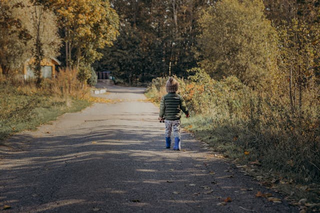 Why is parental alienation not commonly recognized by the public?
